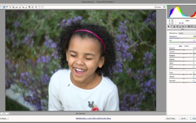 How to Use the White Balance Tool in Adobe Camera RAW