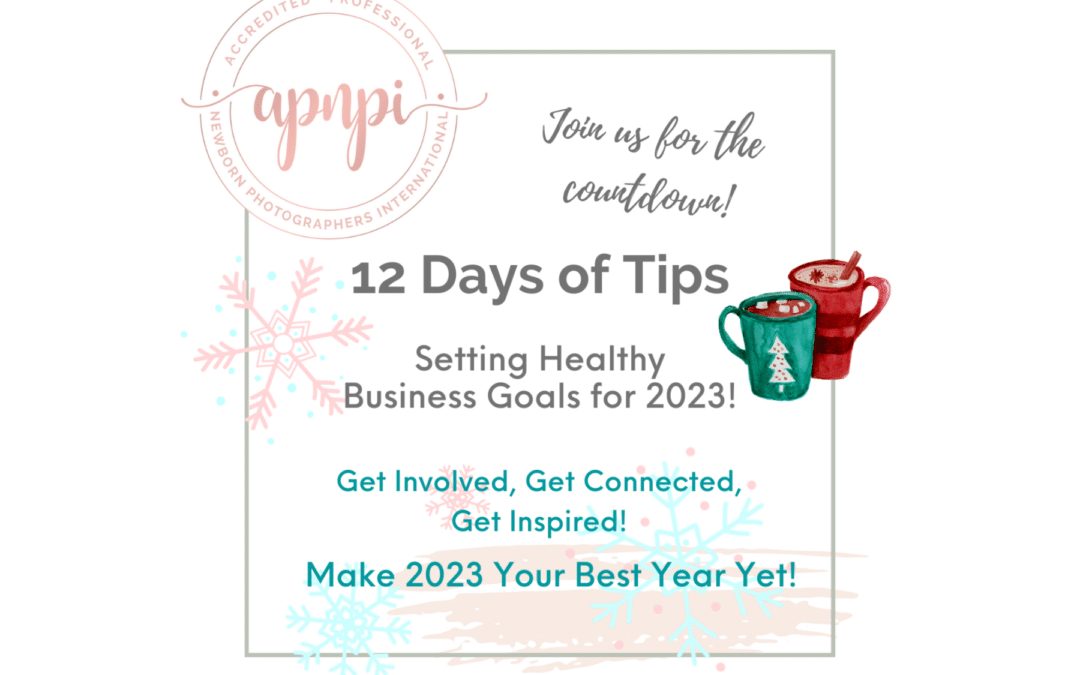 12 Days of Tips – Setting Healthy Business Goals for 2023!