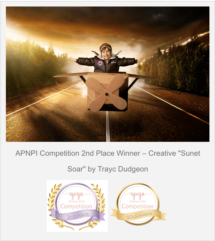 APNPI Competition 1st Place Winner – Creative "Sunset Soar" by Trayc Dudgeon