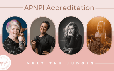 2025 Accreditation Results #2 | APNPI Newborn Photographers