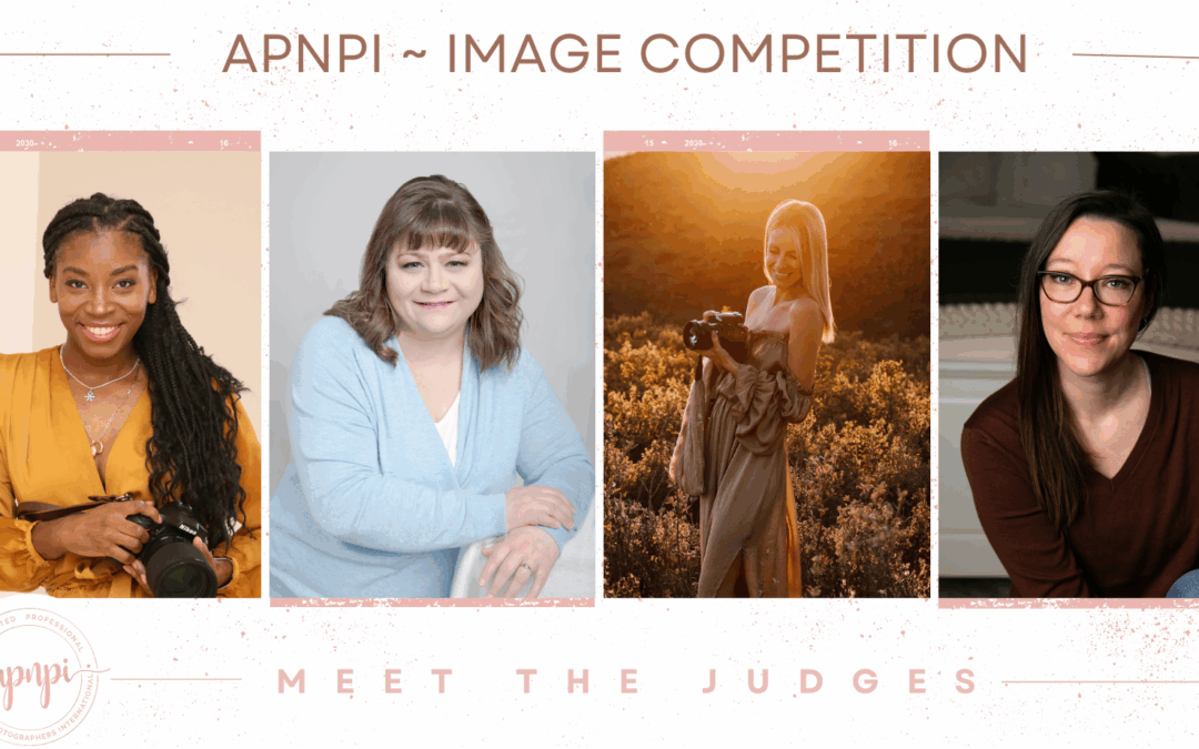 Meet the Competition Judges