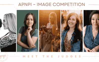 Meet the Competition Judges
