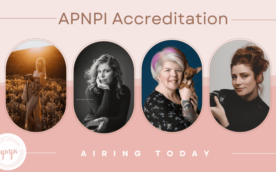 Meet the APNPI Accreditation Judges