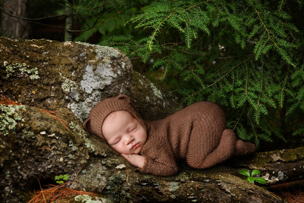 Baby Bear - Jennifer Robyn Kamminga
