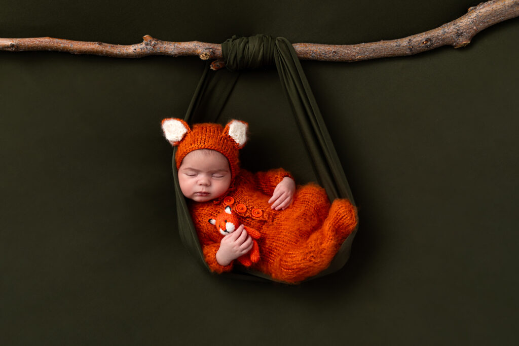 Dreams of a Baby Fox - Debi Spencer-Zerby