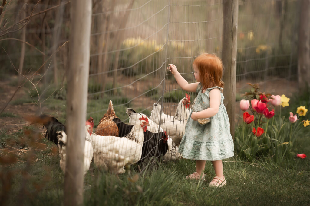 Feeding Time - Anita Windsor
