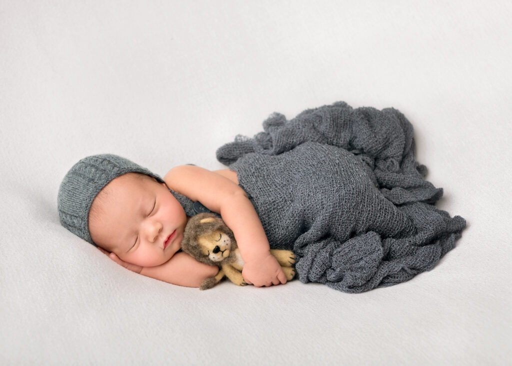 Little Lion - Kirsten Aldridge