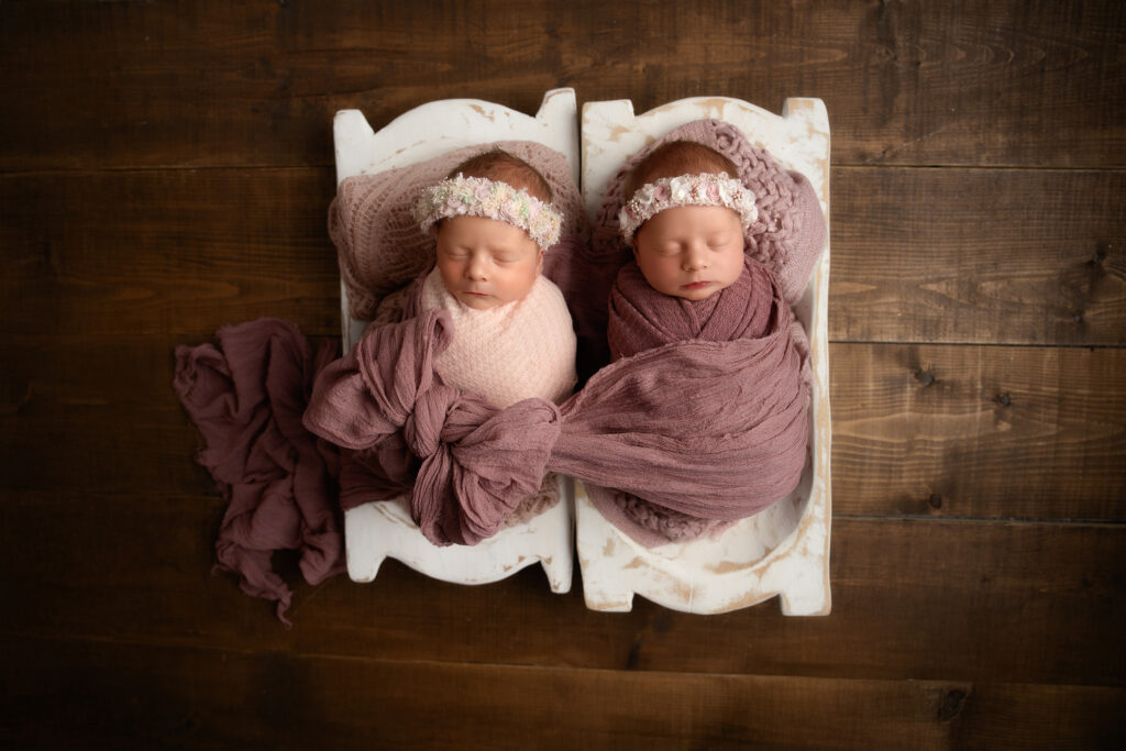 A Precious Gift - Alicia Barrett