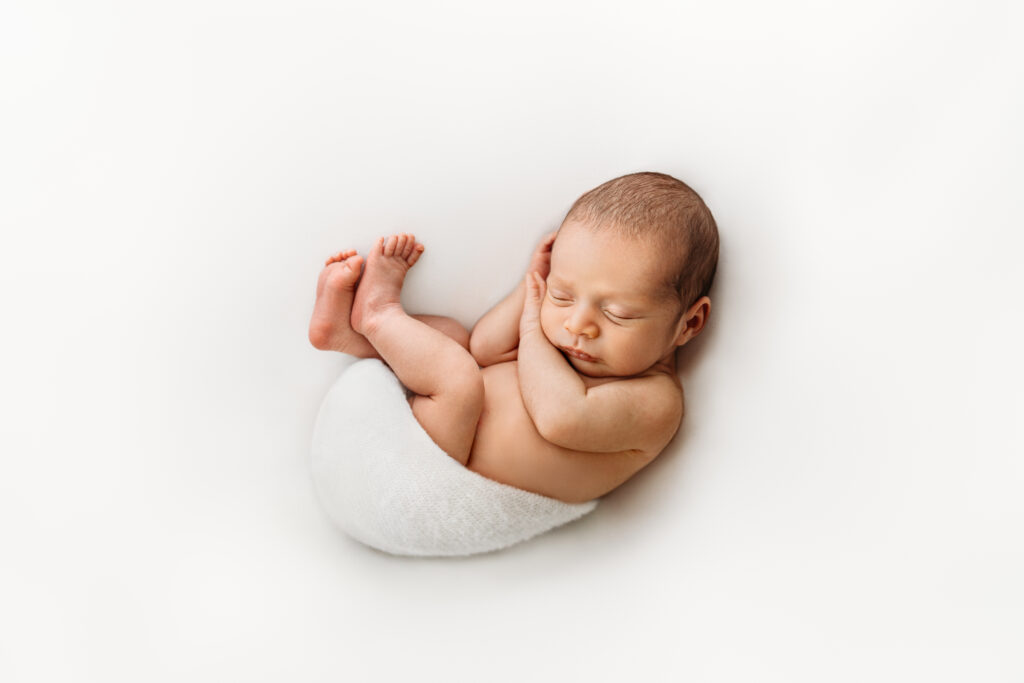 Nestled in Newness - Jackie Orlando
