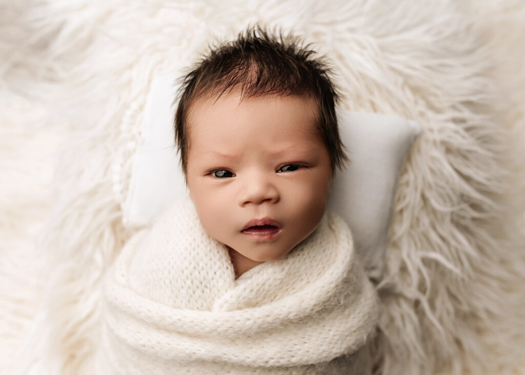 Precious Curiosity - Rayven Ward