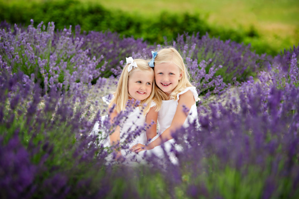 Lavender Sisters - Amanda Gibson