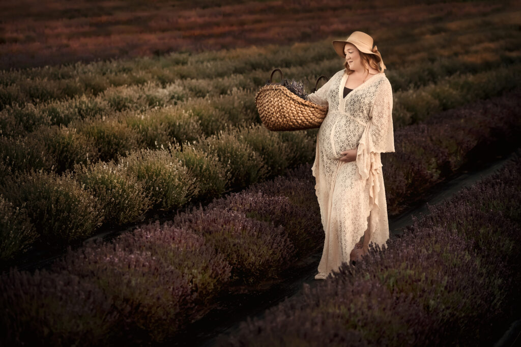 Lavender And Dreams - Anita Windsor