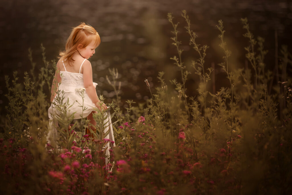 Among the Wildflowers - Anita Windsor