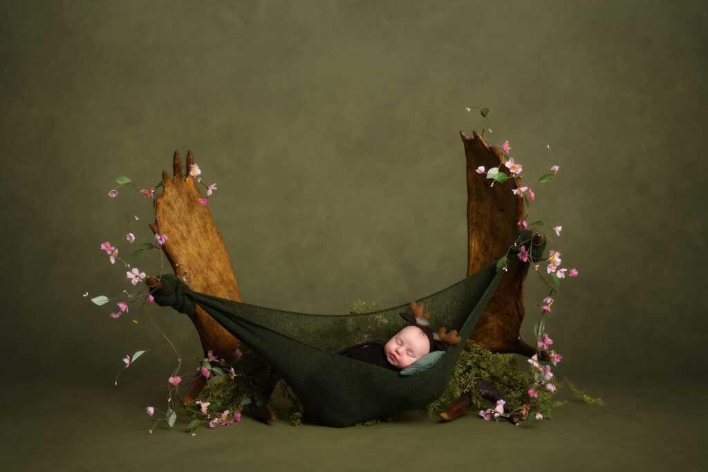 Miss Moose - Alicia Barrett