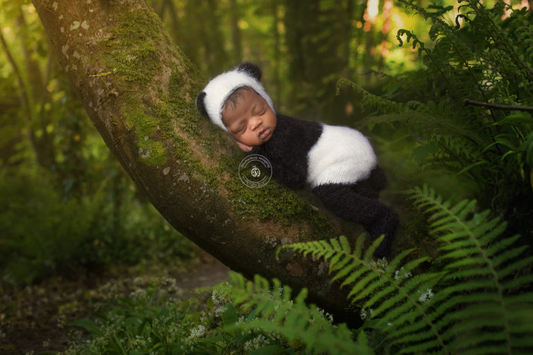 Newborn Photography in Durham Region Clarington GTA Shutterbug Imaging575 Toronto oakville